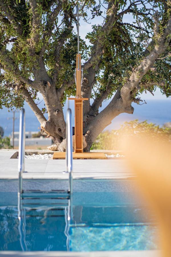 Santa Marina Syros Villa Liaropá Buitenkant foto